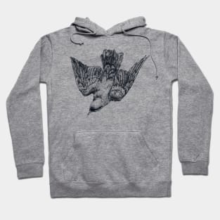 Splendid Starling Hoodie